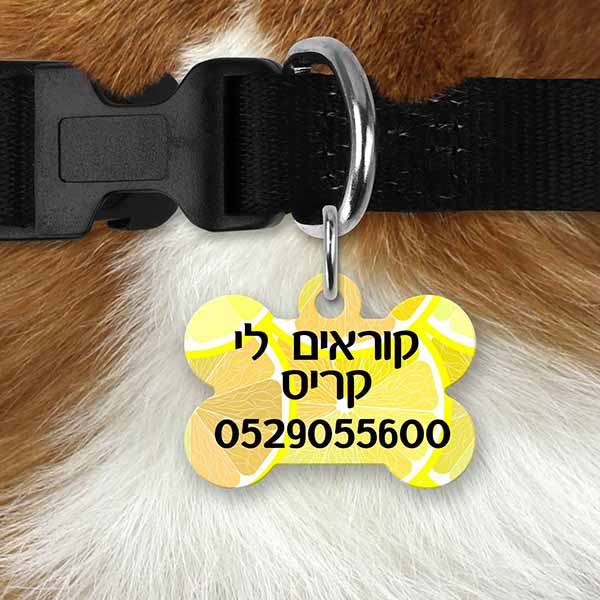 תג שם לחיות מחמד כלב / חתול